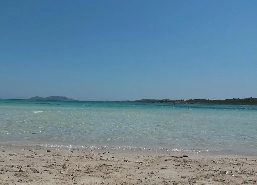 Hotel Piccada Palau
